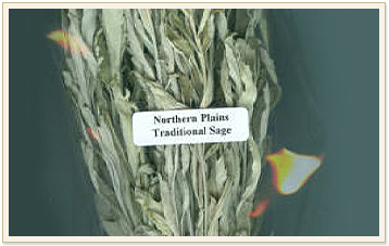 Traditional Sage